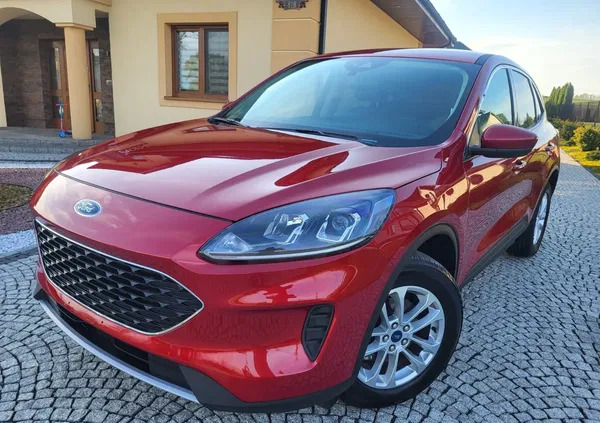 ford kuga Ford Kuga cena 81900 przebieg: 26000, rok produkcji 2021 z Tarnów
